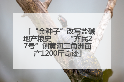 “金种子”改写盐碱地产粮史——“齐民27号”创黄河三角洲亩产1200斤奇迹