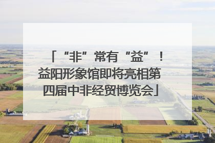 “非”常有“益”！益阳形象馆即将亮相第四届中非经贸博览会