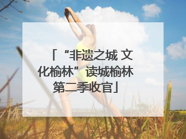 “非遗之城 文化榆林”读城榆林第二季收官