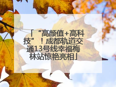 “高颜值+高科技”！成都轨道交通13号线幸福梅林站惊艳亮相