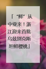 “鲜”从中亚来！浙江迎来首批乌兹别克斯坦鲜樱桃