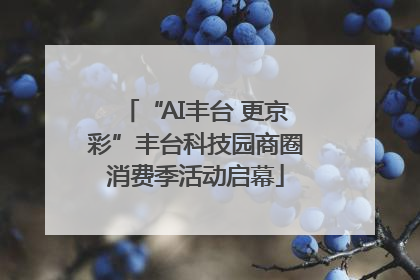 “AI丰台 更京彩”丰台科技园商圈消费季活动启幕