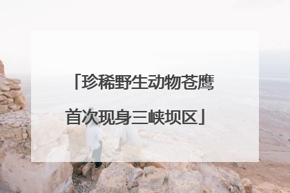 珍稀野生动物苍鹰首次现身三峡坝区
