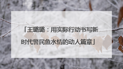 王璐璐：用实际行动书写新时代警民鱼水情的动人篇章