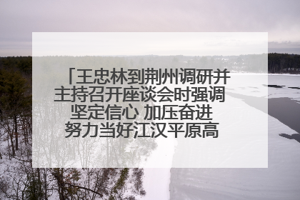 王忠林到荆州调研并主持召开座谈会时强调 坚定信心 加压奋进 努力当好江汉平原高质量发展排头兵