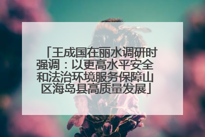 王成国在丽水调研时强调：以更高水平安全和法治环境服务保障山区海岛县高质量发展