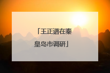 王正谱在秦皇岛市调研