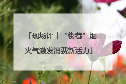 现场评丨“街巷”烟火气激发消费新活力