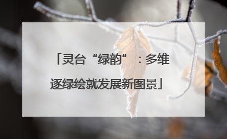 灵台“绿韵”：多维逐绿绘就发展新图景