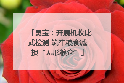 灵宝：开展机收比武检测 筑牢粮食减损“无形粮仓”