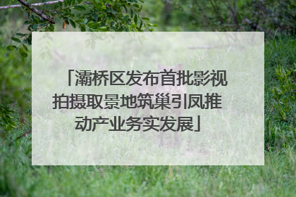 灞桥区发布首批影视拍摄取景地筑巢引凤推动产业务实发展