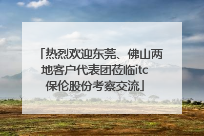 热烈欢迎东莞、佛山两地客户代表团莅临itc保伦股份考察交流