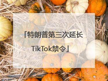 特朗普第三次延长TikTok禁令