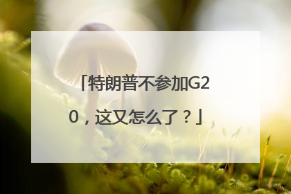 特朗普不参加G20，这又怎么了？