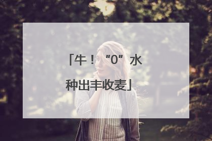 牛！“0”水种出丰收麦