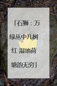 石狮：万绿丛中几树红 湿地荷塘韵无穷