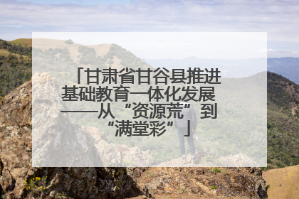 甘肃省甘谷县推进基础教育一体化发展——从“资源荒”到“满堂彩”