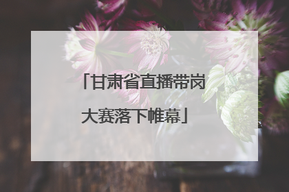 甘肃省直播带岗大赛落下帷幕