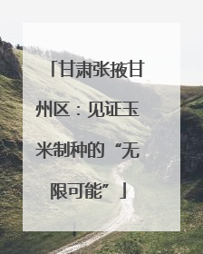 甘肃张掖甘州区：见证玉米制种的“无限可能”