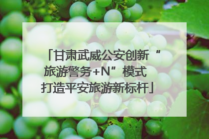 甘肃武威公安创新“旅游警务+N”模式 打造平安旅游新标杆