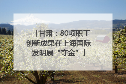 甘肃：80项职工创新成果在上海国际发明展“夺金”