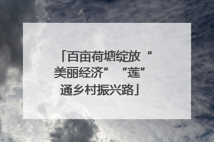 百亩荷塘绽放“美丽经济”“莲”通乡村振兴路