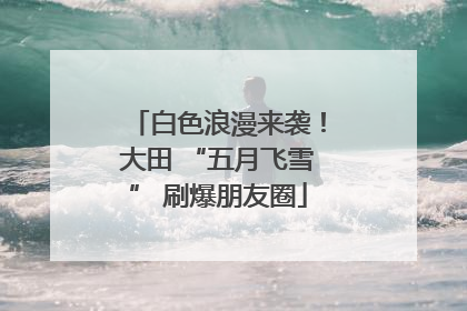 白色浪漫来袭！大田 “五月飞雪” 刷爆朋友圈