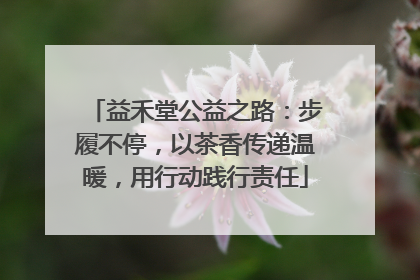 益禾堂公益之路：步履不停，以茶香传递温暖，用行动践行责任