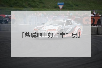 盐碱地上好“丰”景