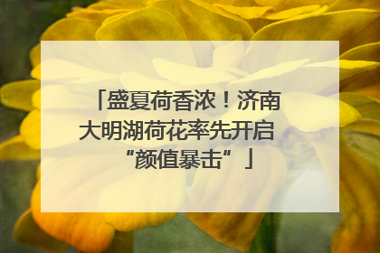 盛夏荷香浓！济南大明湖荷花率先开启“颜值暴击”
