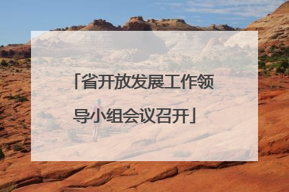 省开放发展工作领导小组会议召开