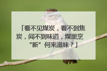 看不见煤炭，看不到焦炭，闻不到味道，煤里烹“新”何来滋味？