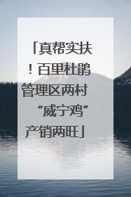 真帮实扶！百里杜鹃管理区两村“威宁鸡”产销两旺