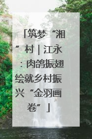 筑梦“湘”村｜江永：肉鸽振翅绘就乡村振兴“金羽画卷”