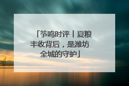筝鸣时评丨夏粮丰收背后，是潍坊全城的守护