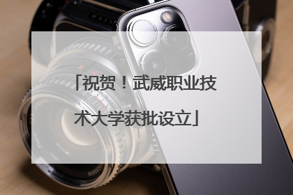 祝贺！武威职业技术大学获批设立