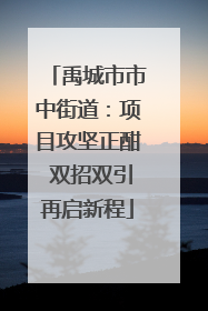 禹城市市中街道：项目攻坚正酣 双招双引再启新程