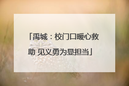 禹城：校门口暖心救助 见义勇为显担当