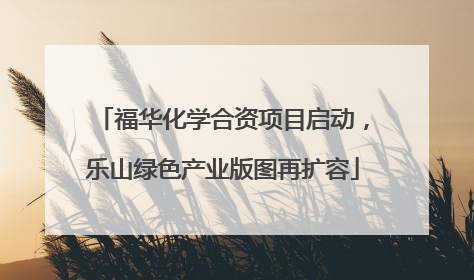 福华化学合资项目启动，乐山绿色产业版图再扩容