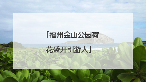 福州金山公园荷花盛开引游人