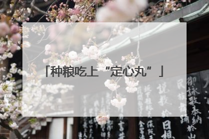 种粮吃上“定心丸”