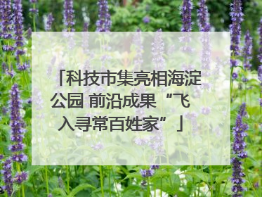 科技市集亮相海淀公园 前沿成果“飞入寻常百姓家”