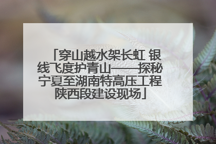 穿山越水架长虹 银线飞度护青山——探秘宁夏至湖南特高压工程陕西段建设现场