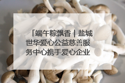 端午粽飘香｜盐城世华爱心公益慈善服务中心携手爱心企业发起情暖“城市守护者”慰问活动