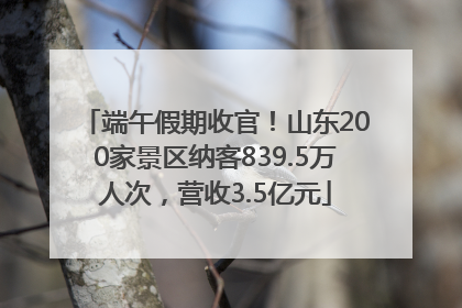 端午假期收官！山东200家景区纳客839.5万人次，营收3.5亿元