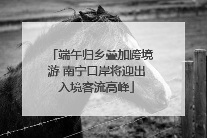 端午归乡叠加跨境游 南宁口岸将迎出入境客流高峰