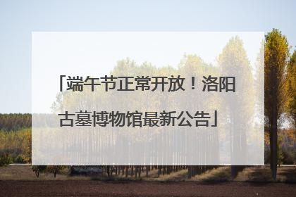 端午节正常开放！洛阳古墓博物馆最新公告