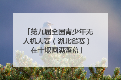 第九届全国青少年无人机大赛（湖北省赛）在十堰圆满落幕