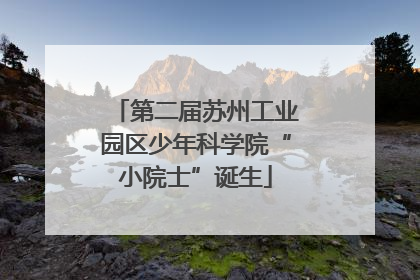 第二届苏州工业园区少年科学院“小院士”诞生