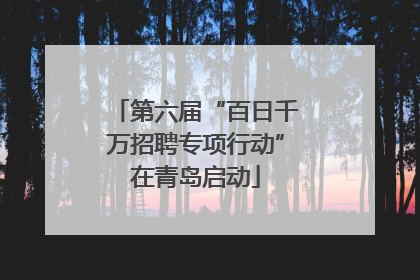 第六届“百日千万招聘专项行动”在青岛启动